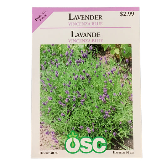 Lavender - Vicenza Blue Seeds, OSC