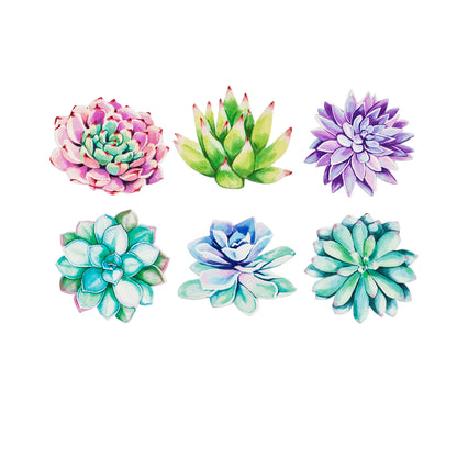 Succulents Screen Door Savers, 6 Styles