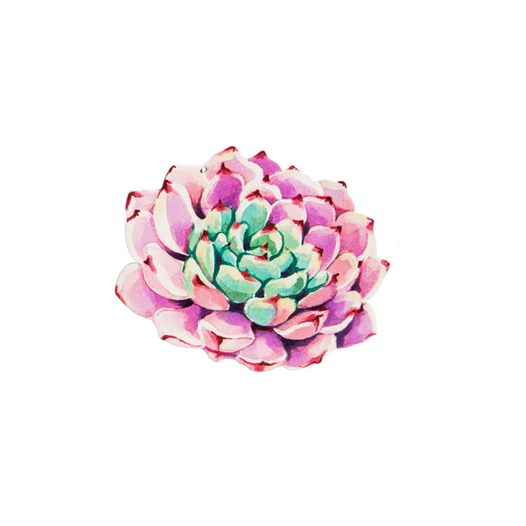 Succulents Screen Door Savers, 6 Styles
