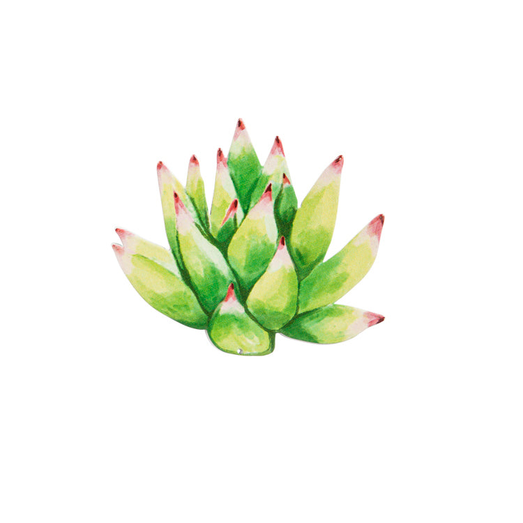 Succulents Screen Door Savers, 6 Styles