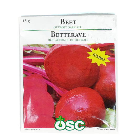 Beetroot - Detroit Dark Seeds, OSC Large Pack