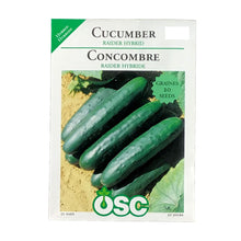 Load image into Gallery viewer, Cucumber - Raider Hybrid Seeds, OSC
