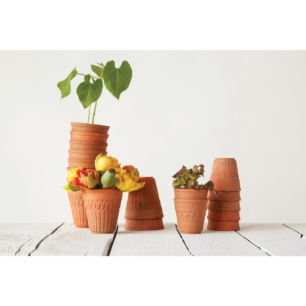 Pot, 3in, Terracotta, Scalloped Design
