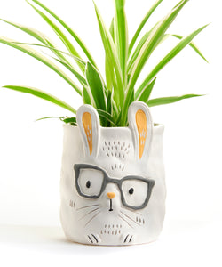 Pot, 3in, Ceramic, Dexter the Bunny with Glasses