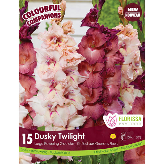 Colourful Companions - Dusky Twilight, 15 Pack