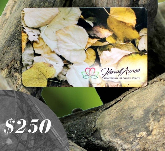 Physical Gift Card, $250.00 - Floral Acres Greenhouse & Garden Centre