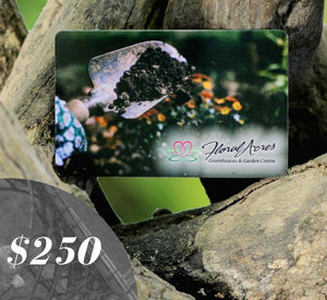Physical Gift Card, $250.00 - Floral Acres Greenhouse & Garden Centre