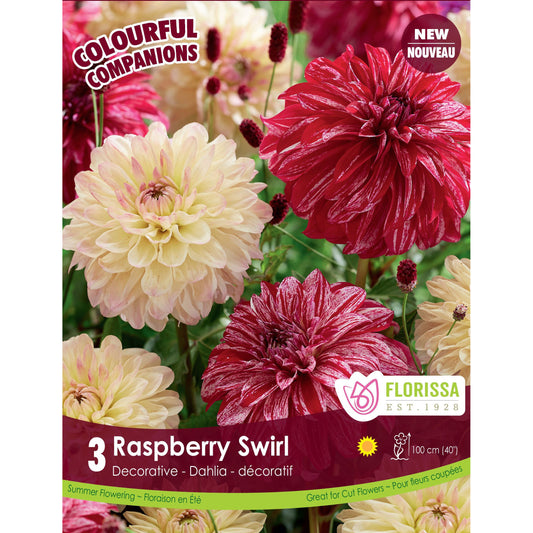 Colourful Companions - Raspberry Swirl, 3 pk