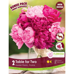 Colourful Companions - Table For Two, 2 pk