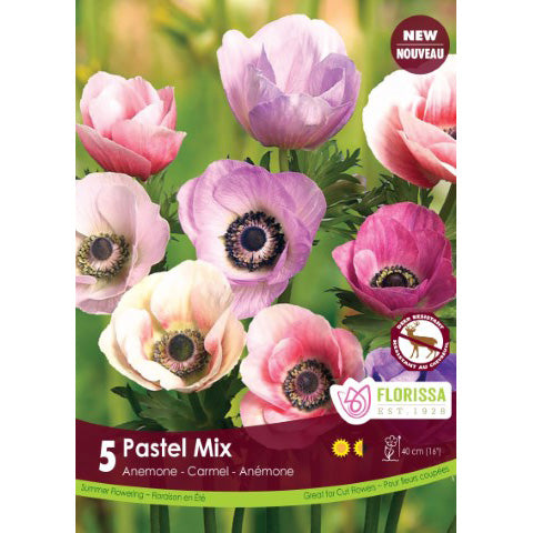 Anemone - Carmel Pastel Mix Bulbs, 5 Pack