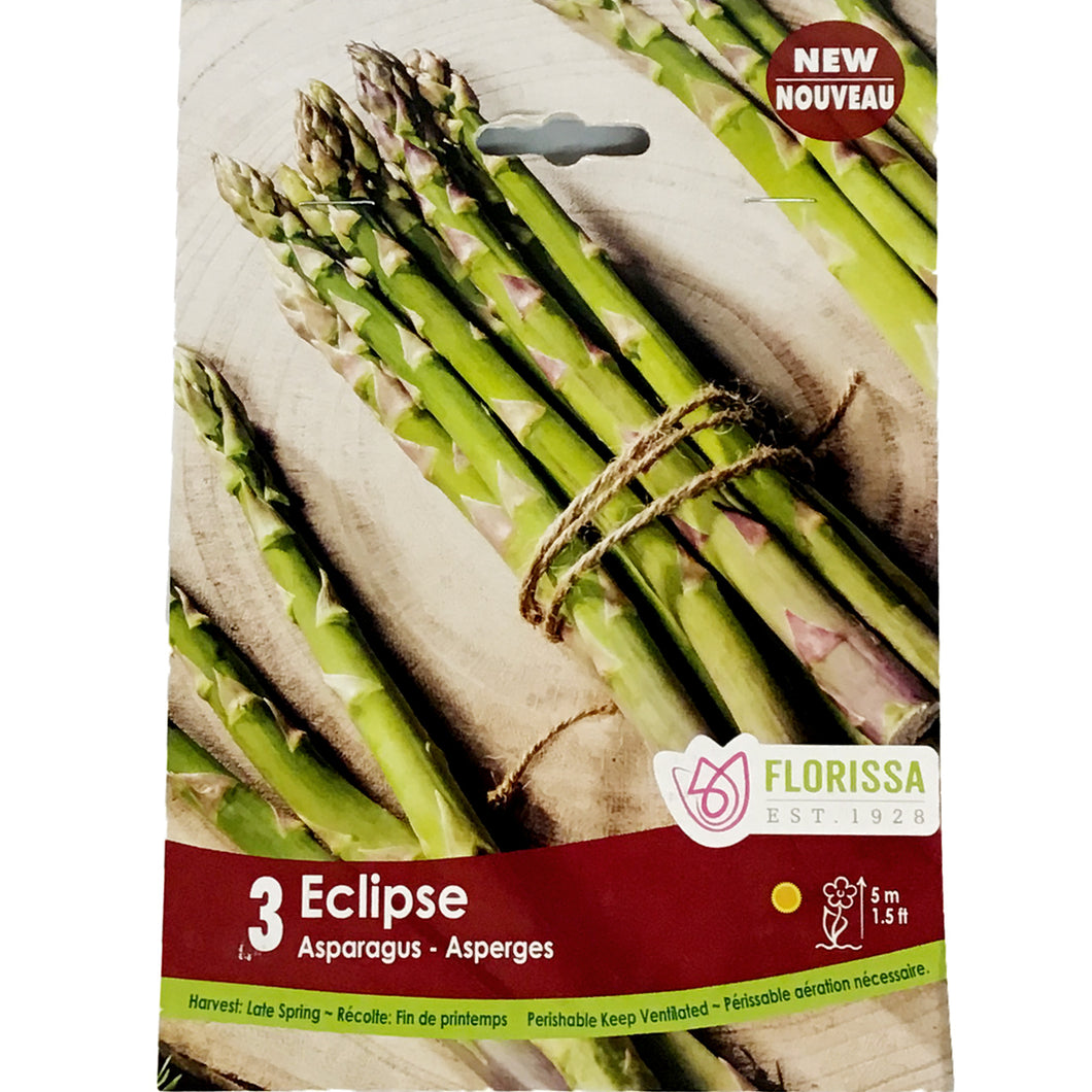Asparagus - Eclipse Bulbs, 3 Pack