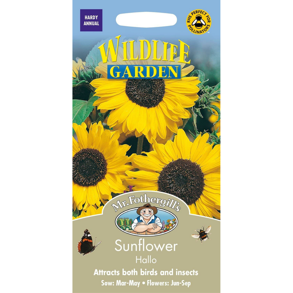 Sunflower - Hallo Seeds, Mr Fothergill's