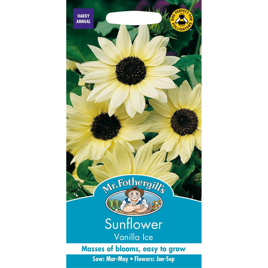 Sunflower - Vanilla Ice Seeds, Mr Fothergill's