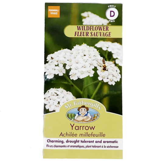 Yarrow - White Seeds, Mr Fothergill's