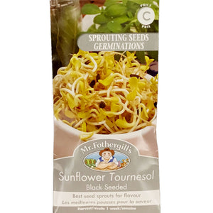 Sprouting Seeds - Sunflower Black, Mr Fothergill's