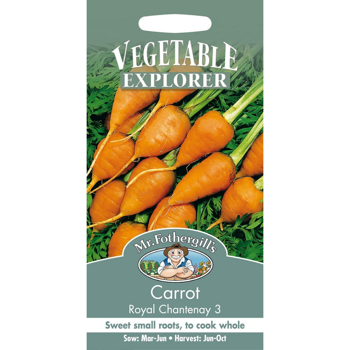 Carrot - Royal Chantenay 3 Seeds, Mr Fothergill's