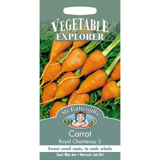 Carrot - Royal Chantenay 3 Seeds, Mr Fothergill's