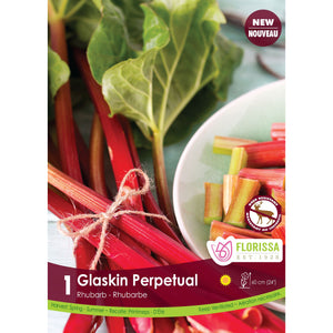 Rhubarb - Glaskin's Perpetual Bulbs, 1 Pack