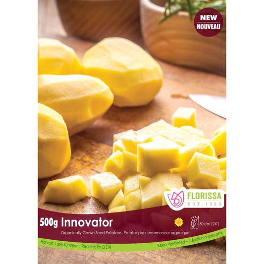 Seed Potato - Innovator Organic, VN, 500g Bag