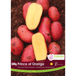 Seed Potato - Gourmet Prince of Orange, VN, 500g B