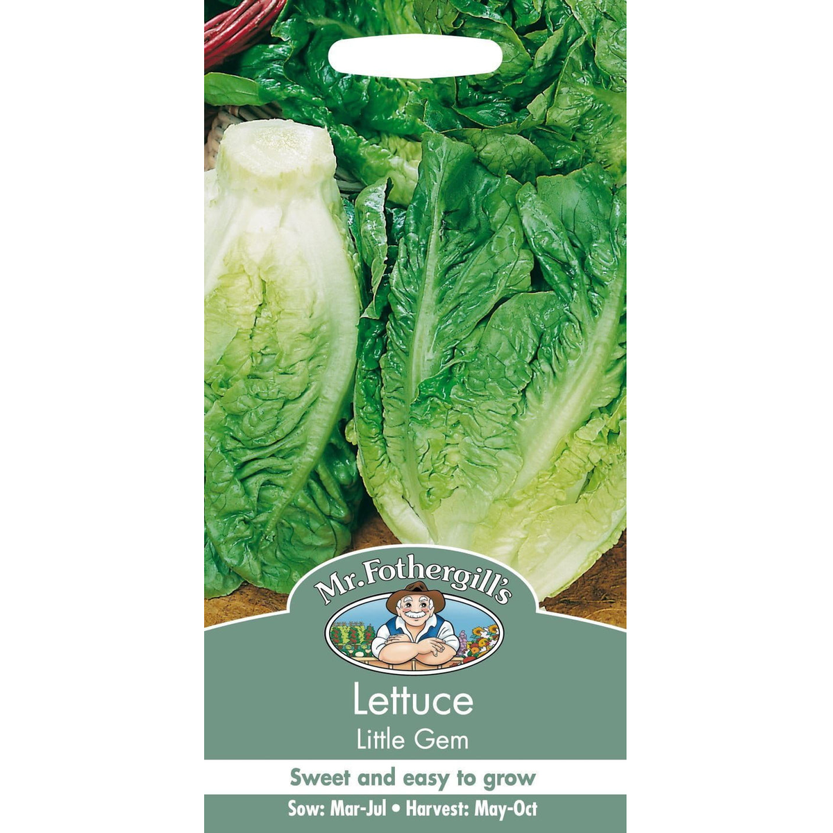 Lettuce - Little Gem Seeds, Mr Fothergill's