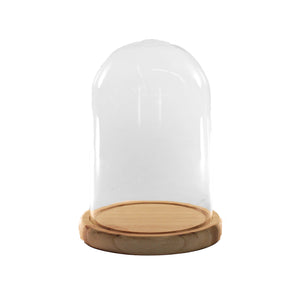 Glass Cloche w/Natural Paulownia Wood Base, 8.5in