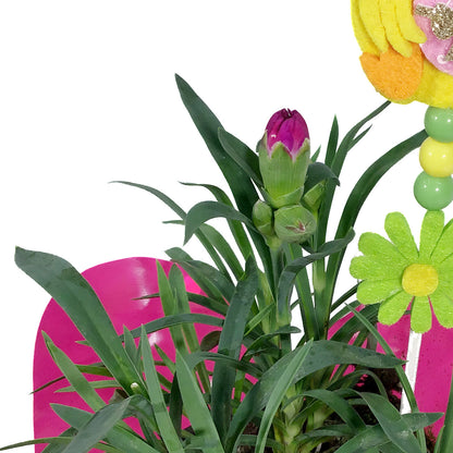 Dianthus, 4in, DiaDeur Pink & Red w/ Easter Pick