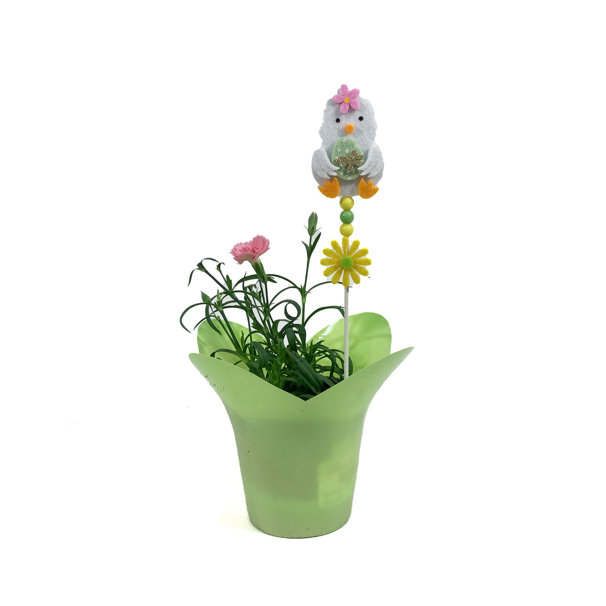 Dianthus, 4in, Everlast, Pink/White w/ Easter Pick
