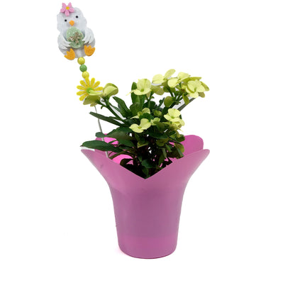 Euphorbia, 4in, Maxi Helios w/ Easter Pick