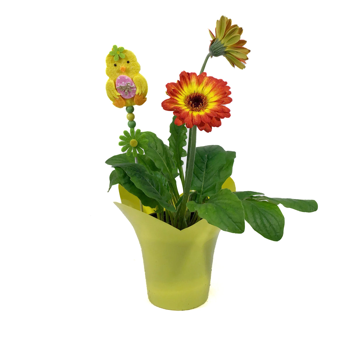Gerbera, 4in, Bicolor Orange & Yellow, Easter Pick
