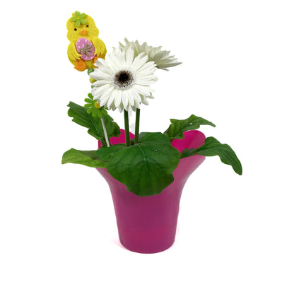 Gerbera, 4in, White & Dark Eye w/ Easter Pick