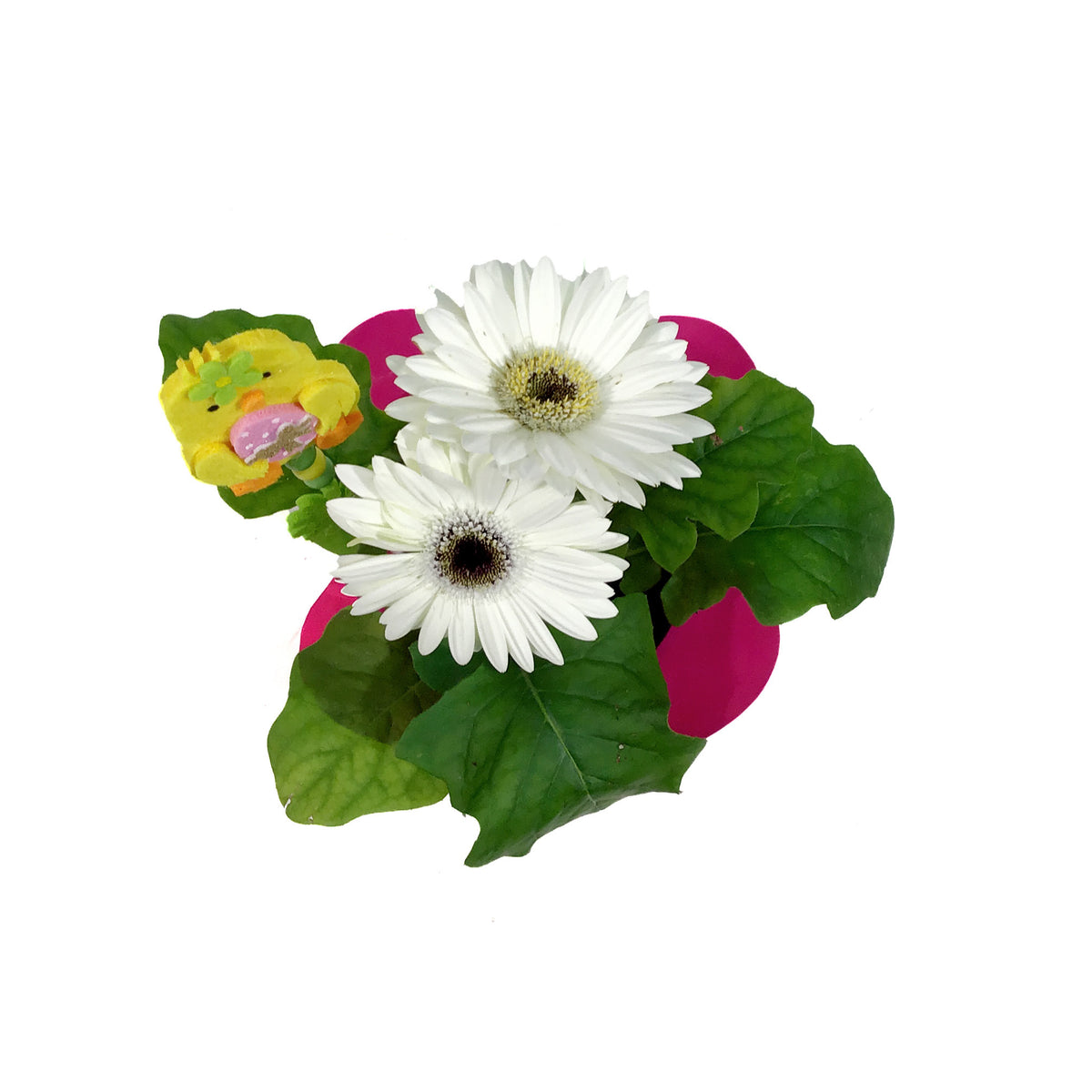 Gerbera, 4in, White & Dark Eye w/ Easter Pick