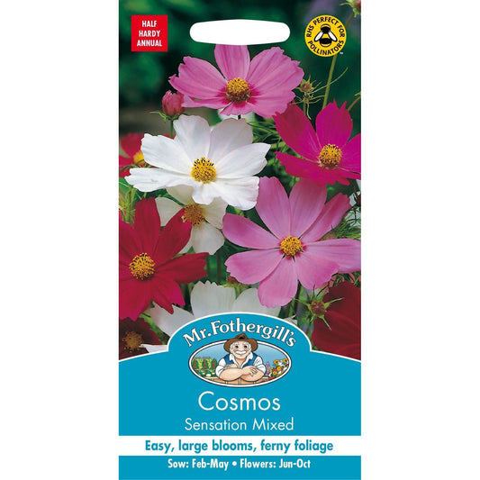 Cosmos - Sensation Mixed Seeds, Mr Fothergills