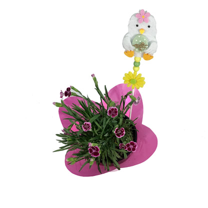 Dianthus, 4in, Palm Peach w/ Easter Pick