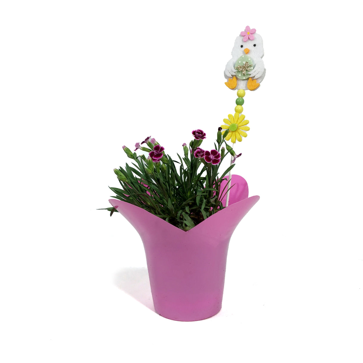 Dianthus, 4in, Palm Peach w/ Easter Pick