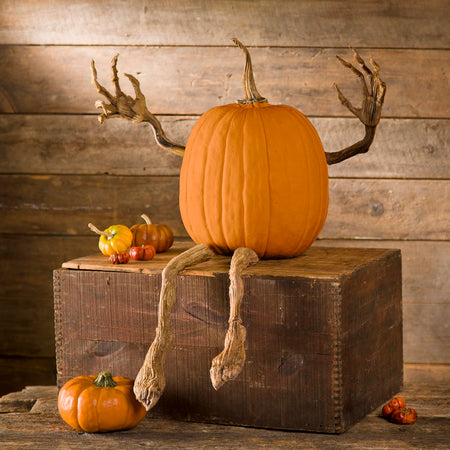 Posable Pumpkin Vine Arms and Legs Set