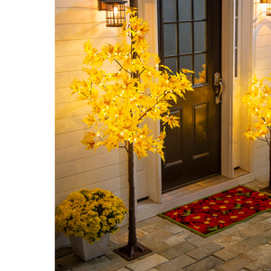 Lighted In/Outdoor Golden Sugar Maple Tree, 6ft