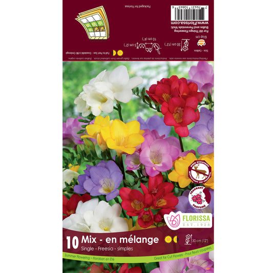 Freesia - Single Mix Bulbs, 10 Pack