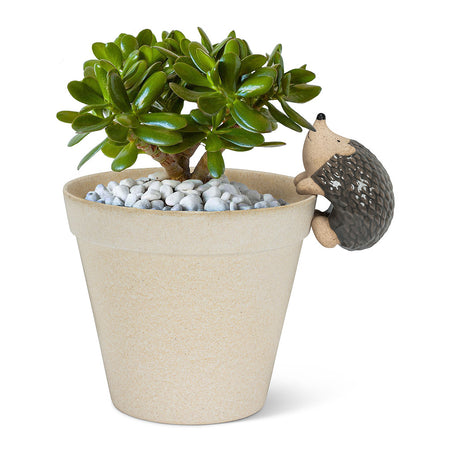 Climbing Hedgehog Ceramic Pot Hanger, 3.5in