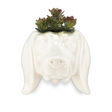 Load image into Gallery viewer, Pot, 1.5in, Ceramic, Dachshund Head Wall Planter
