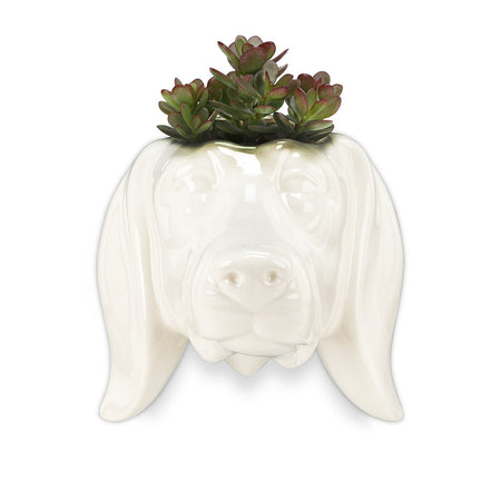 Pot, 1.5in, Ceramic, Dachshund Head Wall Planter