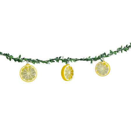 Lemon & Vine LED String Lights, 72in