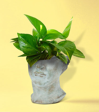 Planter, Cement, Half Male Face Sculpture