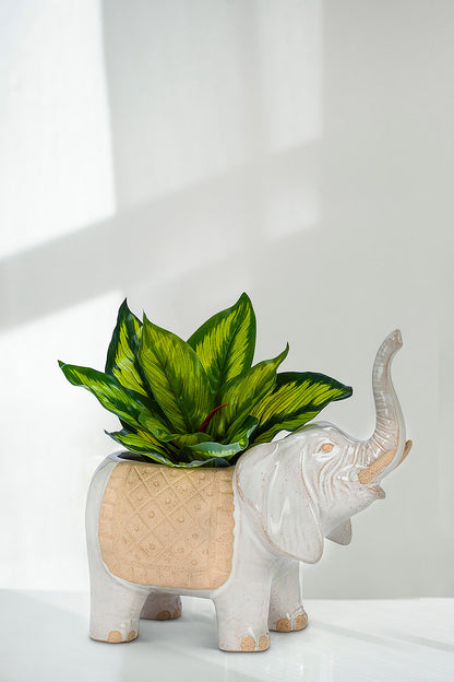 Pot, 4in, Stoneware, Trunk Up Caravan Elephant