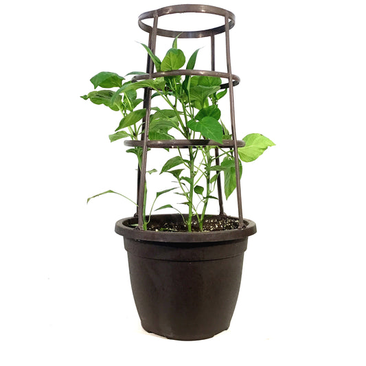 Vegetable, 10in, Pepper w/ Cage