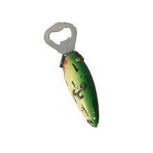 Load image into Gallery viewer, Fishing Lure Bottle Opener, 3 Styles
