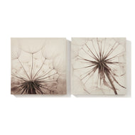 Dandelion Canvas Wall Art Prints, Set of 2