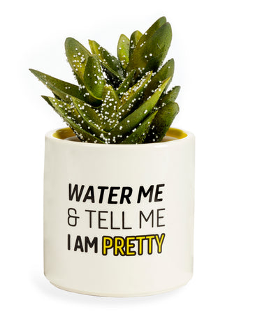 Pot, 3in, Ceramic, Water Me & Tell Me I'm Pretty