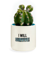 Load image into Gallery viewer, Pot, 3in, Ceramic, I Will Survive
