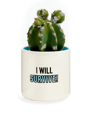 Pot, 3in, Ceramic, I Will Survive